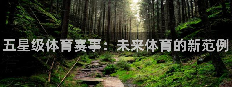 五星级体育赛事：未来体育的新范例