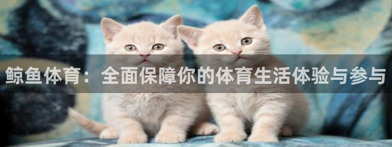 鲸鱼体育：全面保障你的体育生活体验与参与