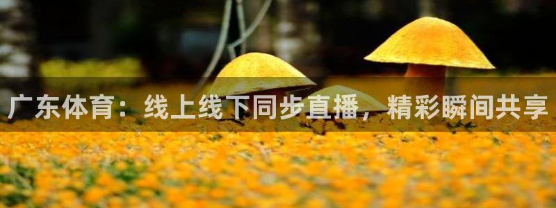 广东体育：线上线下同步直播，精彩瞬间共享