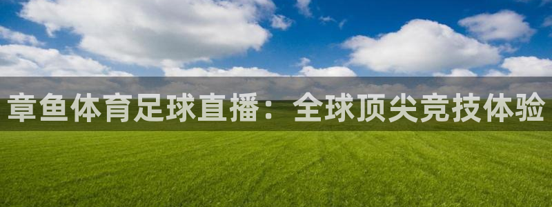 章鱼体育足球直播：全球顶尖竞技体验