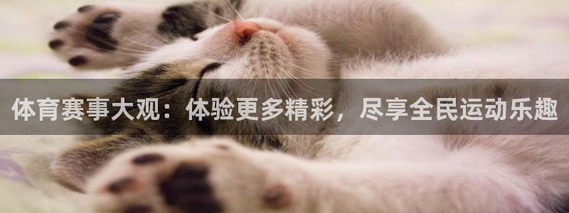 体育赛事大观：体验更多精彩，尽享全民运动乐趣