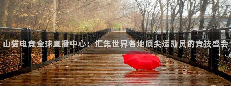 山猫电竞全球直播中心：汇集世界各地顶尖运动员的竞技盛会
