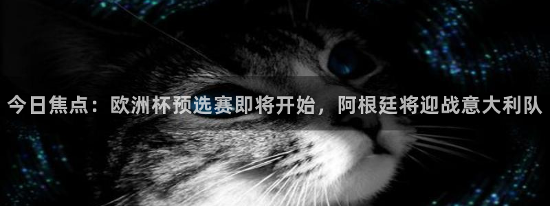 今日焦点：欧洲杯预选赛即将开始，阿根廷将迎战意大利队