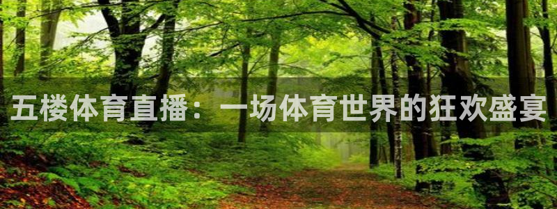 五楼体育直播：一场体育世界的狂欢盛宴