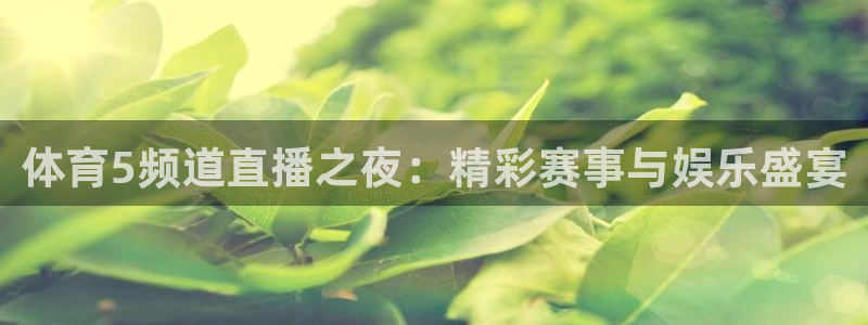 体育5频道直播之夜：精彩赛事与娱乐盛宴