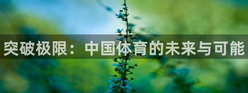 突破极限：中国体育的未来与可能
