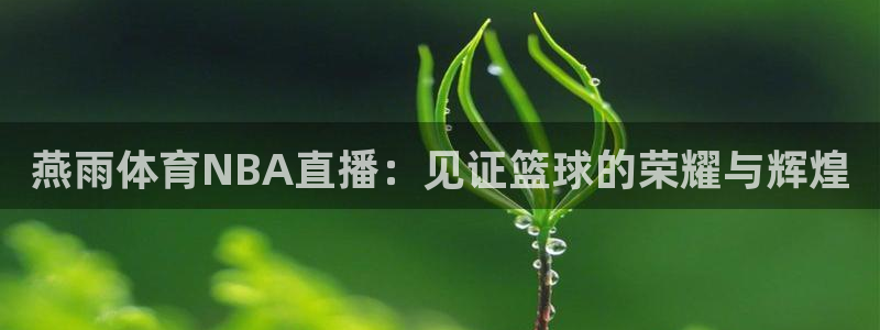 燕雨体育NBA直播：见证篮球的荣耀与辉煌