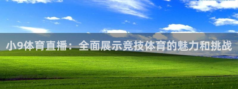 小9体育直播：全面展示竞技体育的魅力和挑战