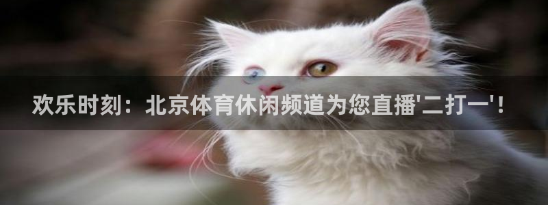 欢乐时刻：北京体育休闲频道为您直播\'二打一\'！