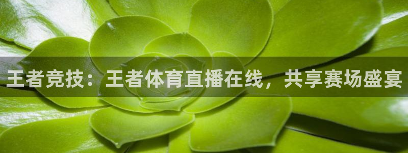 王者竞技：王者体育直播在线，共享赛场盛宴