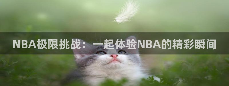 NBA极限挑战：一起体验NBA的精彩瞬间
