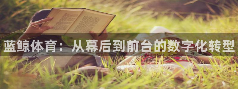 蓝鲸体育：从幕后到前台的数字化转型
