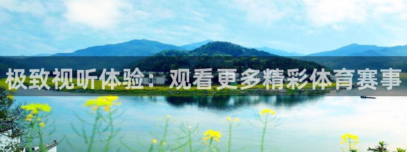 极致视听体验：观看更多精彩体育赛事
