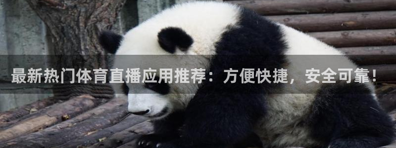 最新热门体育直播应用推荐：方便快捷，安全可靠！