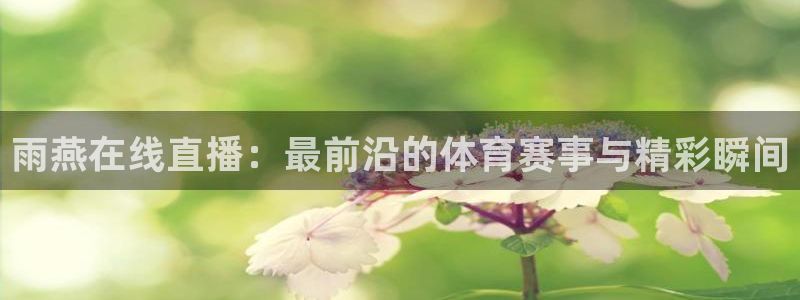 雨燕在线直播：最前沿的体育赛事与精彩瞬间
