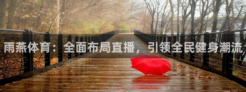 雨燕体育：全面布局直播，引领全民健身潮流