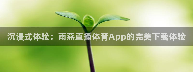 沉浸式体验：雨燕直播体育App的完美下载体验