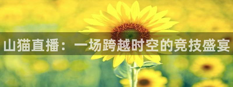 山猫直播：一场跨越时空的竞技盛宴