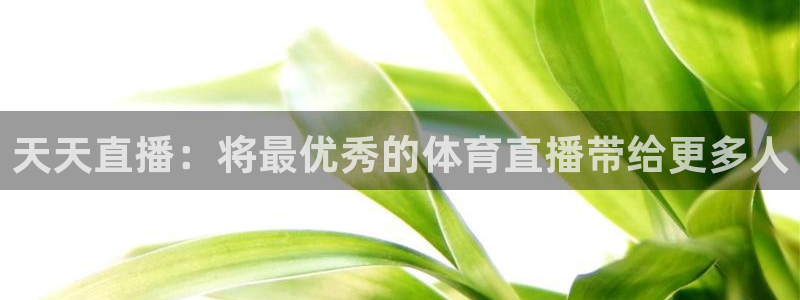 天天直播：将最优秀的体育直播带给更多人