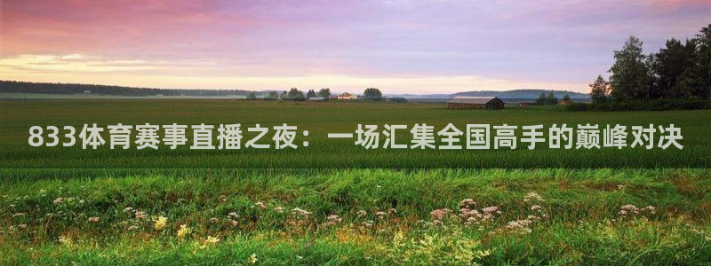 833体育赛事直播之夜：一场汇集全国高手的巅峰对决
