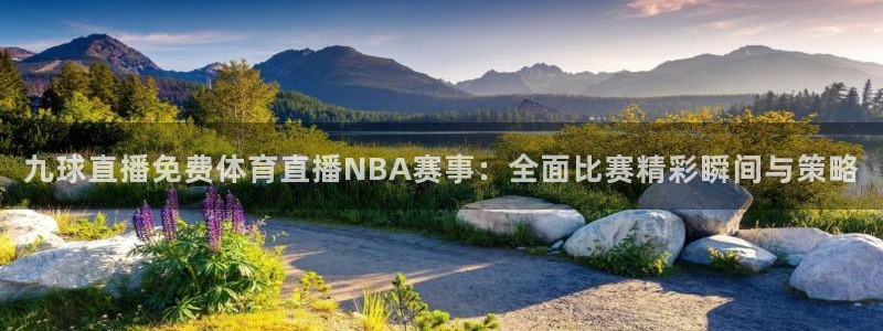 九球直播免费体育直播NBA赛事：全面比赛精彩瞬间与策略