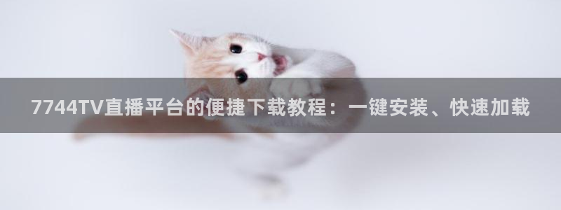 7744TV直播平台的便捷下载教程：一键安装、快速加载