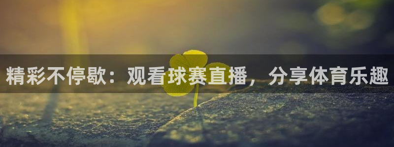 精彩不停歇：观看球赛直播，分享体育乐趣