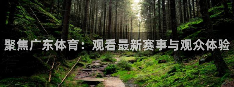 聚焦广东体育：观看最新赛事与观众体验