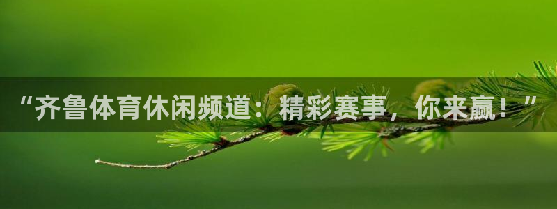 “齐鲁体育休闲频道：精彩赛事，你来赢！”