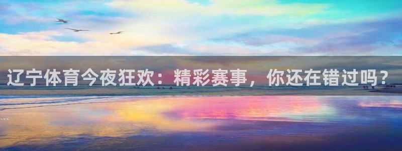 辽宁体育今夜狂欢：精彩赛事，你还在错过吗？