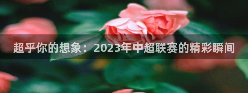 超乎你的想象：2023年中超联赛的精彩瞬间