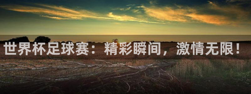 世界杯足球赛：精彩瞬间，激情无限！
