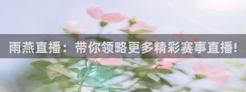 雨燕直播：带你领略更多精彩赛事直播!
