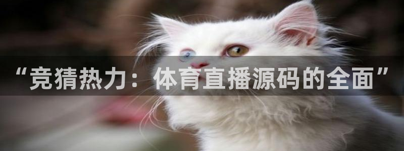 “竞猜热力：体育直播源码的全面”