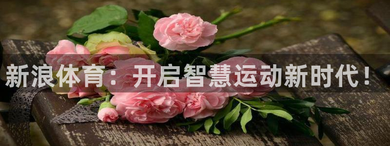 新浪体育：开启智慧运动新时代！