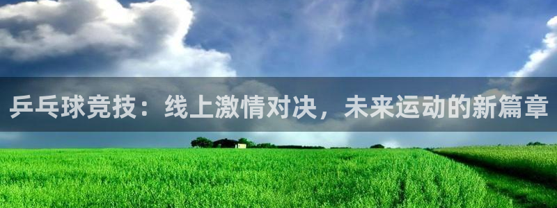 乒乓球竞技：线上激情对决，未来运动的新篇章