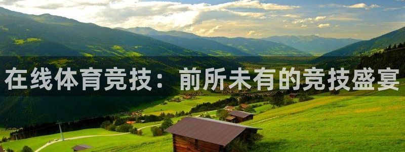 在线体育竞技：前所未有的竞技盛宴