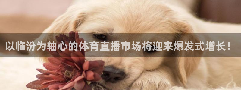 以临汾为轴心的体育直播市场将迎来爆发式增长！