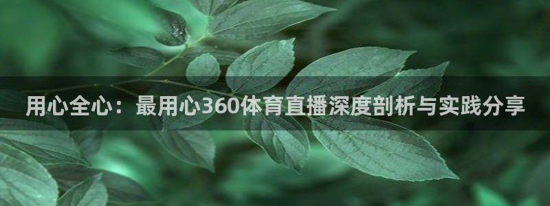 用心全心：最用心360体育直播深度剖析与实践分享