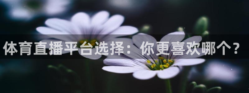 体育直播平台选择：你更喜欢哪个？
