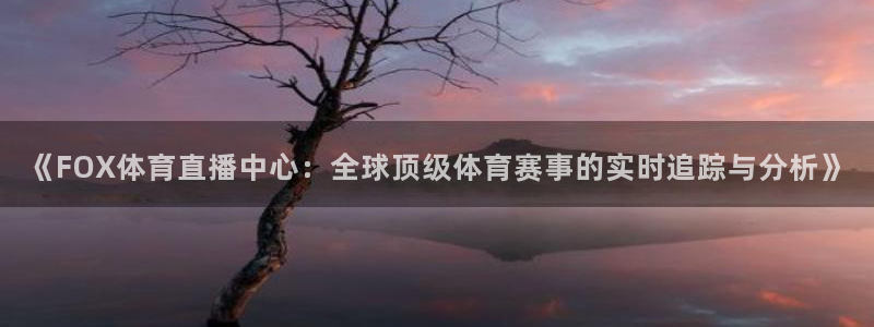 《FOX体育直播中心：全球顶级体育赛事的实时追踪与分析》