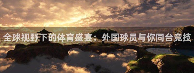 全球视野下的体育盛宴：外国球员与你同台竞技