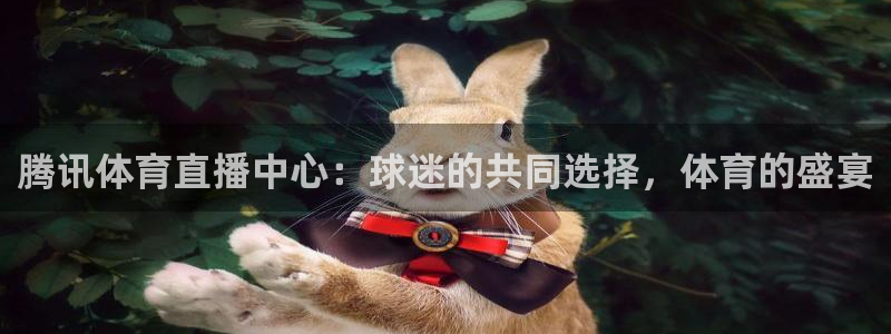 腾讯体育直播中心：球迷的共同选择，体育的盛宴