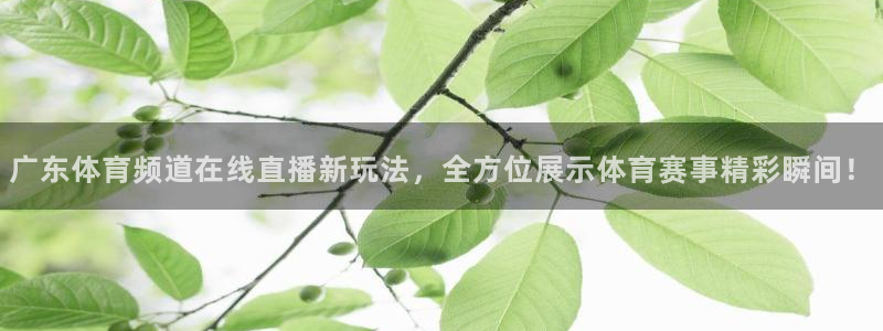 广东体育频道在线直播新玩法，全方位展示体育赛事精彩瞬间！