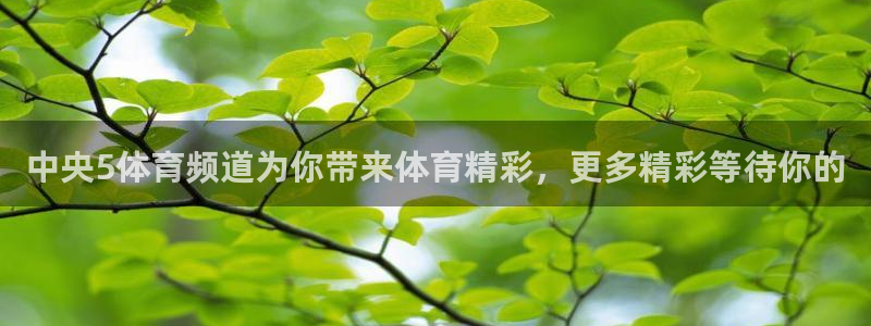 中央5体育频道为你带来体育精彩，更多精彩等待你的