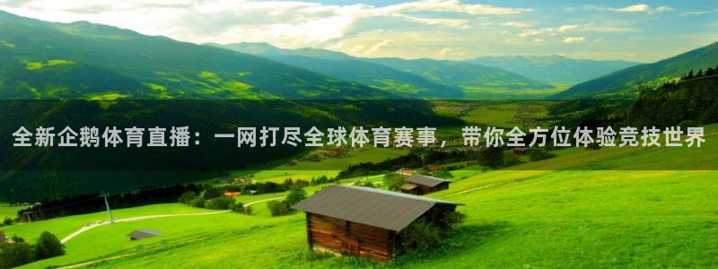 全新企鹅体育直播：一网打尽全球体育赛事，带你全方位体验竞技世界