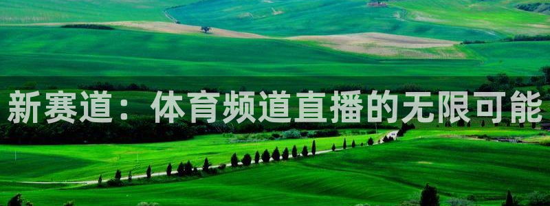 新赛道：体育频道直播的无限可能