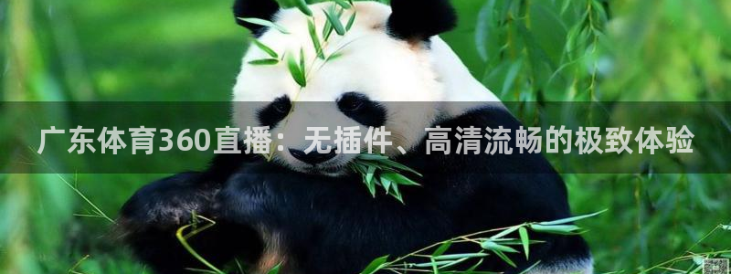广东体育360直播：无插件、高清流畅的极致体验