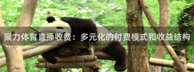 聚力体育直播收费：多元化的付费模式和收益结构