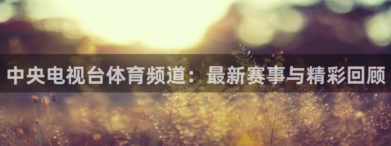中央电视台体育频道：最新赛事与精彩回顾